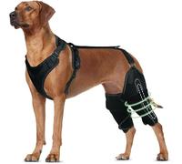 YAODFYL Knee Brace for Dogs for Cruciate Ligament Cracks in the Hind Leg, Adjustable Support with Sufficient Coverage and Support as well as Patella Luxation (L30-38 cm, Both Legs)