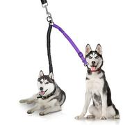 YAODHAOD Double Dog Leash,Two Dog Leash Splitter, No Tangle 360° Swivel Rotation Reflective Lead, Adjustable Length Bungee Heavy Duty Walking Training Dual Extension (Black + Purple)