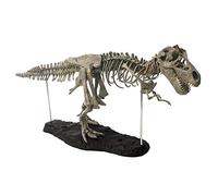 YAOGUI Dinosaur Model Prehistoric Dino Skeleton Figurine Boutique Store Supply Miniature Statue Classroom Award Tyrannosaurus Rex Toy