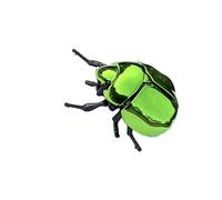 YAOGUI Simulation Scarab Windup Toy Stress Relief Crawling For Kids Adult Educational Science Exploration Learning Toy ABS Animal Clockwork