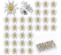 Yaomiao 30 Pcs Bavarian Edelweiss Flower Lapel Pins Set Traditional German Edelweiss Brooch Hat Dirndl Oktoberfest Accessory, 0.79 inches/2 cm in diameter, Zinc, zinc alloy