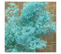 yaoqijie Length:35-43CM/About 65-70g Natural Dried Flowers,Preserved Flowers Penglai Pine,Eternelle Plant Asparagus Myriocladus Bouquet lasting (Color : 07)