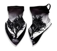 YAPKOLV 2 Pieces Multifunctional Neck Warmer Elastic Mask Men/Women UV Protection and Anti-Dust Balaclava Scarf Tube (for Yoga, Running, Hiking)