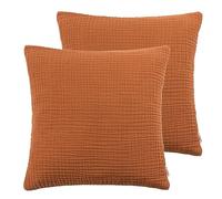 Yard Lark Polyester Filled Cushions Twin Pack