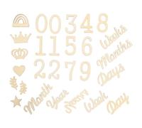 Yardenfun 1 set Newborn Milestone Cards Wooden Months Signs for Photography Props for Memory Scrapbooks and Showers Capture Precious Moments with Charming Designs