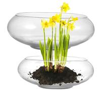 Yardenfun 2 Pack Glass Narcissus Pot Decorative Fish Bowl for Goldfish Unique Planter Terrarium Bowl