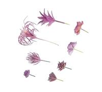 Yardenfun 8pcs Artificial Succulent Plants Violet Series Lifelike Faux Plant Decor for Home Office Banquet DIY Flower Arrangement Indoor Outdoor Use