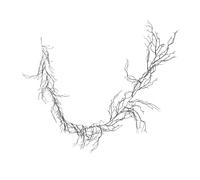 Yardenfun Black Curly Willow Branches Plastic Vine Garland for Halloween Spooky Indoor Outdoor Decor Realistic Flexible Decorative Twig Spray for DIY Party Haunted House Gothic Theme