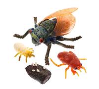 Yardenfun Life Evolution Cicada Models Simulation School Adornments Boys and Girls Educational Toys