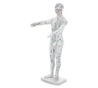 Yardenfun Male Human Body Acupuncture Model with Clear Meridian Pressure Points for Chinese Medicine Teaching and Professional Training
