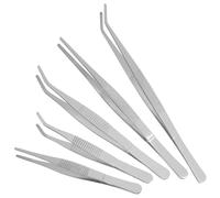 Yardenfun Stainless Steel Tweezers 5Pcs Garden Tools for Succulent Plant Maintenance and Miniature Landscape Care Varied Lengths