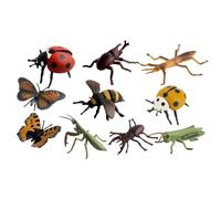 Yardwe 1 Set Lifelike Insect Model Set Plastic Educational for Cognitive Learning for and Classroom Activities for Explore and Understand Insect Life