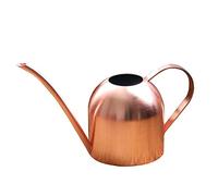 Yardwe 1000ML Stainless Steel Watering Can Small Indoor Plants Water Pot with Long Spout for Office Succulents and Houseplants