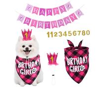 Yardwe 1set Dog Birthday Party Decorations Adorable Bandana and Hat for Small Dogs Cats Pet-safe Materials for Celebrating Your Pet Special Day
