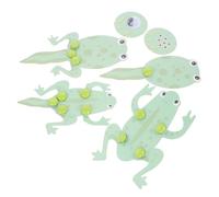 Yardwe 1Set Frog Growth Cycle Model Kit Educational for Students DIY Tadpole Transformation Biology Material for Science Learning Enhances Critical Thinking and Visual Understanding