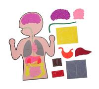 Yardwe 3 Sets DIY Human Organs Models Educational Organs for Creative Cognitive Teaching Plaything and Lightweight Materials for Learning About the