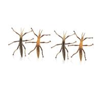 Yardwe 4 Pcs Stick Insect Figurines Educational Models for Insect Recognition for Learning and Play for Biological Cognition