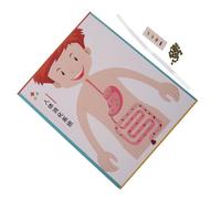 Yardwe 4 Sets DIY Digestive System Model Realistic Human Anatomy Educational for Stem Learning Craft Supplies for School Science Experiment