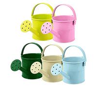 Yardwe 5Pcs Kids Watering Can Set, Mini Metal Childrens Watering Cans for Indoor Plants & Seedlings, Small Toddler Gardening Tools (Assorted Colours)