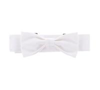 Yardwe Bow Tie Collar for Dogs Canvas Pet Collar Chic Bow Tie Design for Daily Wear and Special Occasions
