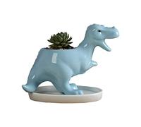 Yardwe Dinosaur Pots Cute Succulent Planter Pots Creative Ceramic Plants Containers with Tray 1PCS (Sky-blue)