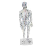 Yardwe Human Acupuncture Model Body Acupoint Mannequin for Traditional Chinese Medicine Realistic Meridian Display Massage and Acupuncture Training Tool for Clinics and Students