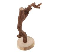 Yardwe Natural Wood Parrot Perch Stand Base, 20cm Bird Training Stand Desktop Bird Perch for Parakeets and Small Parrots Suitable for Home and Office Use Random Style