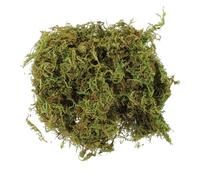 Yardwe Preserved Moss DIY Decorative Moss for Micro Landscapes Bright for Home Craft Projects and Garden Art