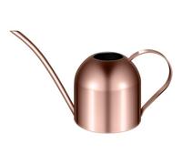 Yardwe Stainless Steel Watering Can for Indoor Plants with Long Spout Small Watering Pot for Succulents Houseplants Office Use, 1000ML