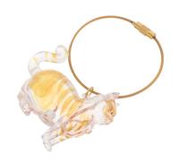 Yardwe Transparent Cat Hair Storage Box Keychain Pet Hair Keepsake Capsule Organizer for Cats and Dogs Memorial Pendant for Home Office Travel Use