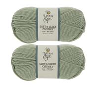 Yarn Bee Soft & Sl hunky - 5-Bulky - 100% Low Pill Acrylic, Yarn for Crocheting & Knitting Blankets, Hats, Sweaters, and More, Set of 2, 302 Sage
