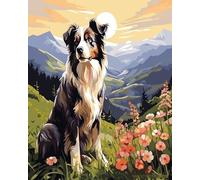 YarnAdventures Animal Dog Paint by Numbers for Adults Beginners,Border Collie,Acrylic Simple Paint by Number Canvas for Gift Decoration,40x50cm Frameless