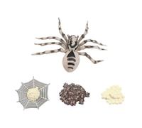 YARNOW 1 Set Creative Animal Growth Model Simulation Spider Display for Educational Supplies Party Decorations and Storytelling Lifelike and Imagination