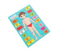 YARNOW 1 Set Educational Spanish Human Body Parts Matching Puzzle for Enhance Recognition Skills Cognitive Abilities Grip for Fun and Engaging Learning Activity