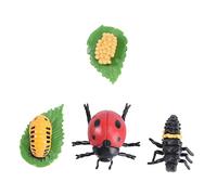 YARNOW 1 Set Simulation Animal Evolution Model Realistic Insect Display for Educational Learning Parties and Creative Play