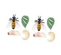 YARNOW 2 Sets Educational Simulation Bee Model Realistic Insect Life Cycle Figures for Kindergarten and Science Learning Detailed Growth Stage Display for Early Childhood Education and