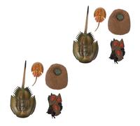 YARNOW 2 Sets Lifelike Horseshoe Crab Growth Cycle Model Educational Animal Figure for Nature Exploration and Learning Prop