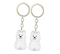 YARNOW 2pcs Pet Hair Keepsake Keychain Memorial Urns for Dogs Cats with Secure Closure Hair Storage Box Charm for Pet Owners
