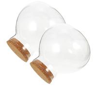 YARNOW 2Pcs Round Glass Ecological Bottles with Cork Lid, 15X16Cm Microlandscape Terrarium Jars for DIY Moss, Plant Bottle Containers Suitable for Indoor Gardening and Home Decor