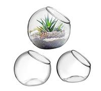 YARNOW 3pcs Glass Terrariums Bowl for Succulent and Air Plant, Hydroponic Vase Set 8cm 10cm 12cm, Slanted Opening Globe Planter for Moss Micro Landscape, Tabletop Home Office Decor Container
