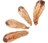 YARNOW 4pcs Parrot Foraging Bird Chewing Fun Companion Protect Furniture Natural Fruit Unique Shape Workmanship Reasonable Structure for Pet's Home Small Birds