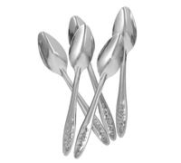 YARNOW 5pcs Parrot Feeding Spoon Stainless Steel Silver Multi-purpose