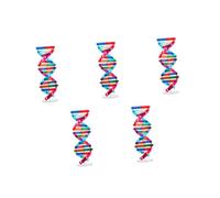 YARNOW 5pcs Self Assembling Double Helix Model Dna Display Stand Educational Genes Learning for Biology Teaching and Science Education Aid