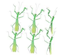 YARNOW 6pcs Realistic Mantis Figurine Insect Model Educational Decoration for Schools Kindergartens Science Centers for Teaching Insect Awareness Safe Materials Aesthetic Design