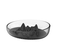 YARNOW Pet Bowls Slow Feeder Silicone Base Problem Solving Slow Eating for Dogs
