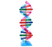 YARNOW Portable Dna Double Helix Model Kit Detailed Molecular Science Model for Teaching and DIY Educational Projects Interactive Assembly for Students and Educators Accurate Human Gene