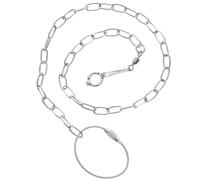 YARNOW Stainless Steel Parrot Training Chain for Birds with Rust Resistant Anklets Sturdy Bird Foot Chain Leash Suitable for Focus on The Street and Enjoying Time White Colour