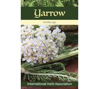 Yarrow: Herb of the Year(TM) 2024