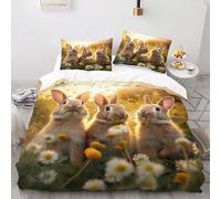 YARUHAN Bedding Set 200 * 200CM Happy rabbit 3D motifs Kids Duvet Cover Set,Double size,Breathable Comfortable Bedding Set 3 pcs for Teen Room Decor#YR8
