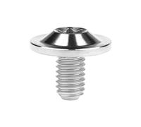 Yaruijia 1Pcs Titanium Bolt M6X10/15/20mm Torx Head Screw for Riding Brake Level Stem Bike Parts Fasteners (Titanium, M6x10mm)